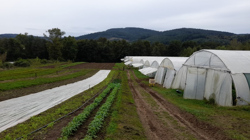 Champ et serres en maraîchage ©Baptiste Grard
