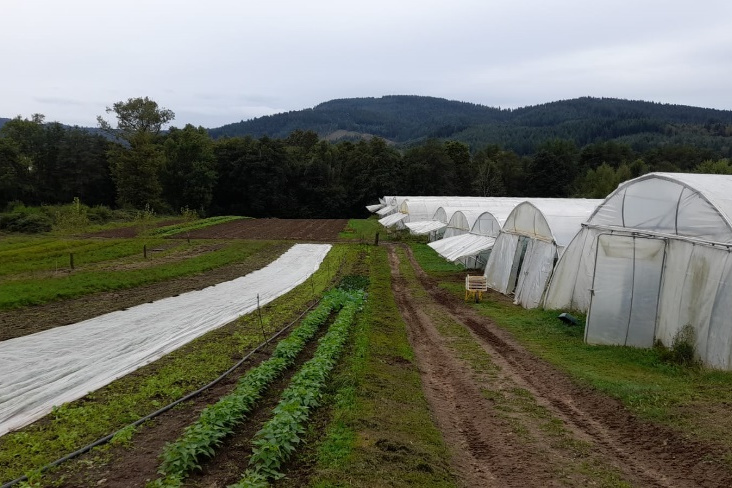 Champ et serres en maraîchage ©Baptiste Grard