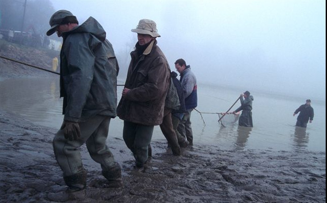 La pêche dans les Dombes (source : Joël Robin)
