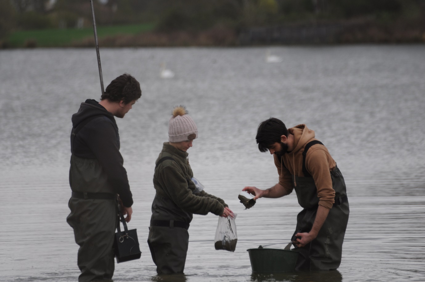 Prélèvements dans un étang piscicole