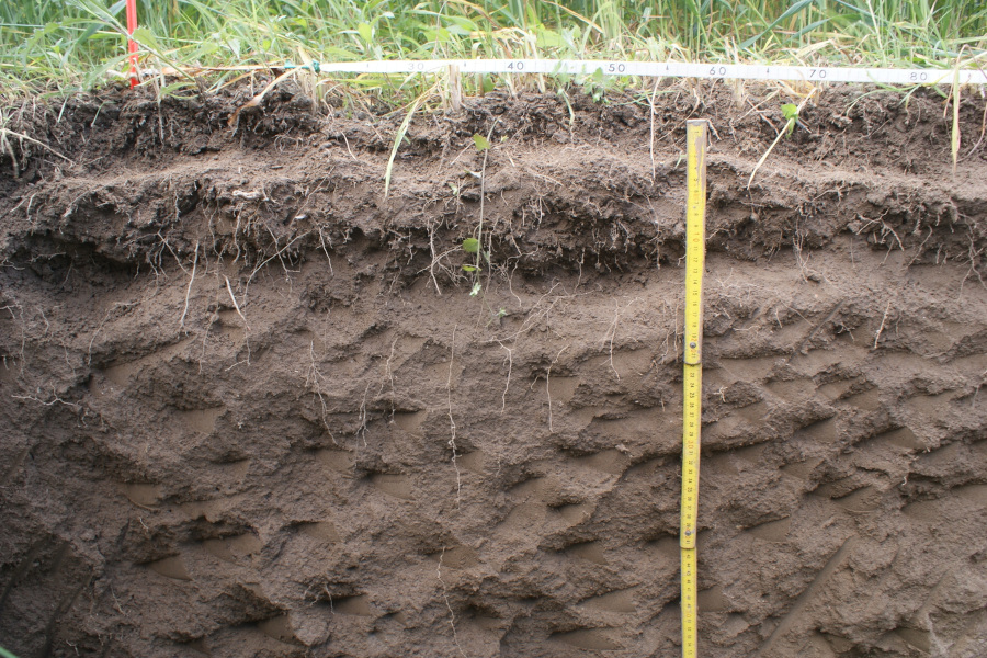 Test bêche, projet SYS4SOL