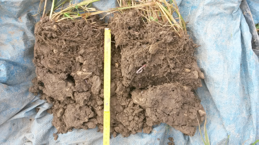 Test bêche, projet SYS4SOL