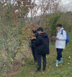 Caractérisation des espaces semi-naturels