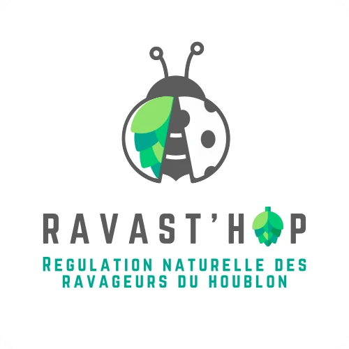 logo projet RAVAST'HOP