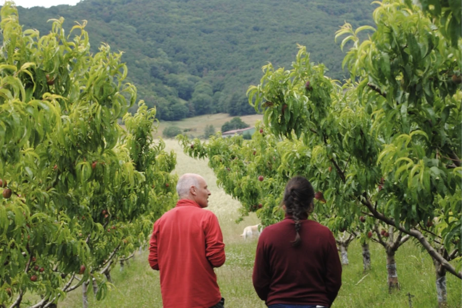 Entretien avec un arboriculteur