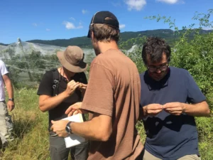 Tour de parcelles avec l’animation d’Arthropologia