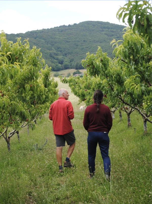 Vergers du massif du Pilat