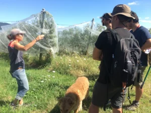 Visite d’une parcelle, demi-journée ‘bout de champs’