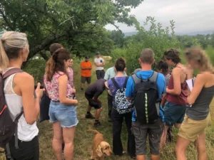 Visite d’une parcelle, demi-journée ‘bout de champs’