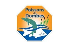 logo APPED